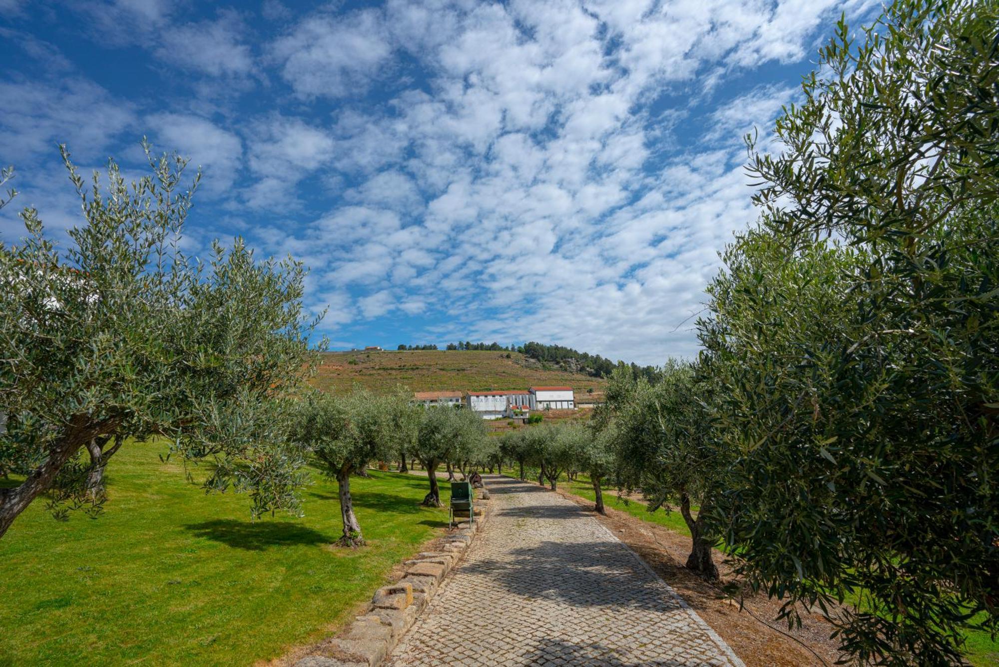 Valonquinta - Agricultura E Turismo De Vila Flor Exterior foto